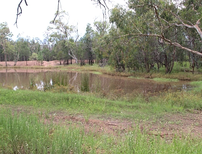 Lots 1 & N Yagaburne-Boondandilla Road, Boondandilla, Darling Downs, 0 कमरे, 0 बाथरूम, Lifestyle Property