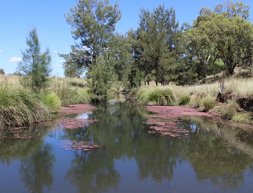 "High Valley" 243 Back Creek Road, Narrabri, Tamworth, 0 ห้องนอน, 0 ห้องน้ำ, Lifestyle Property
