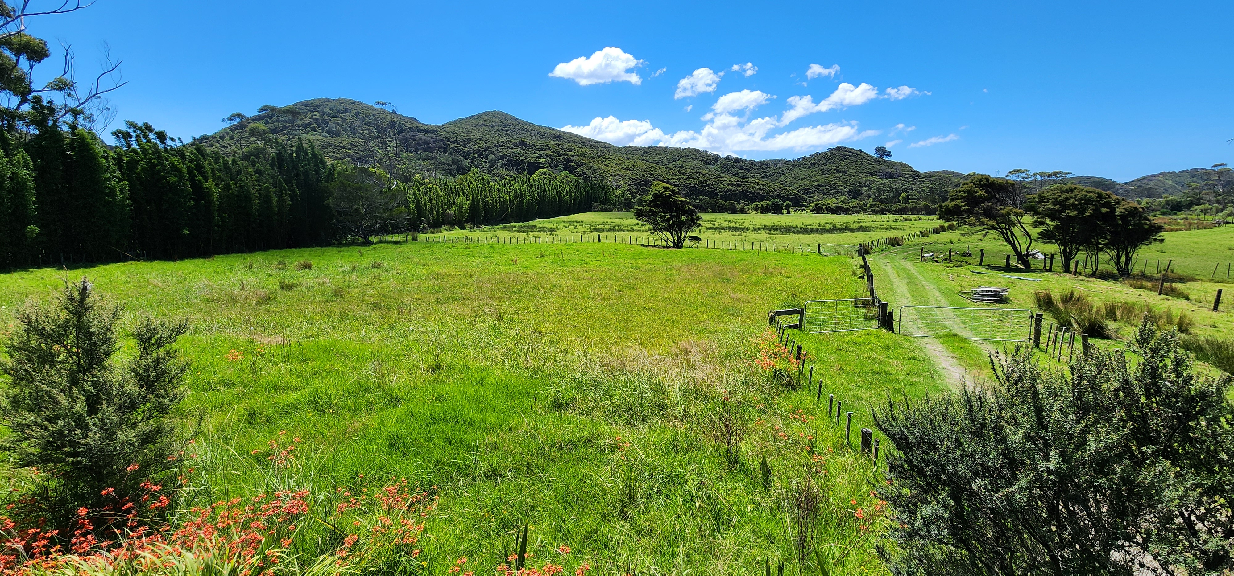 54 Mason Road, Great Barrier Island (Aotea Island), Auckland, 0 chambres, 0 salles de bain, Lifestyle Section