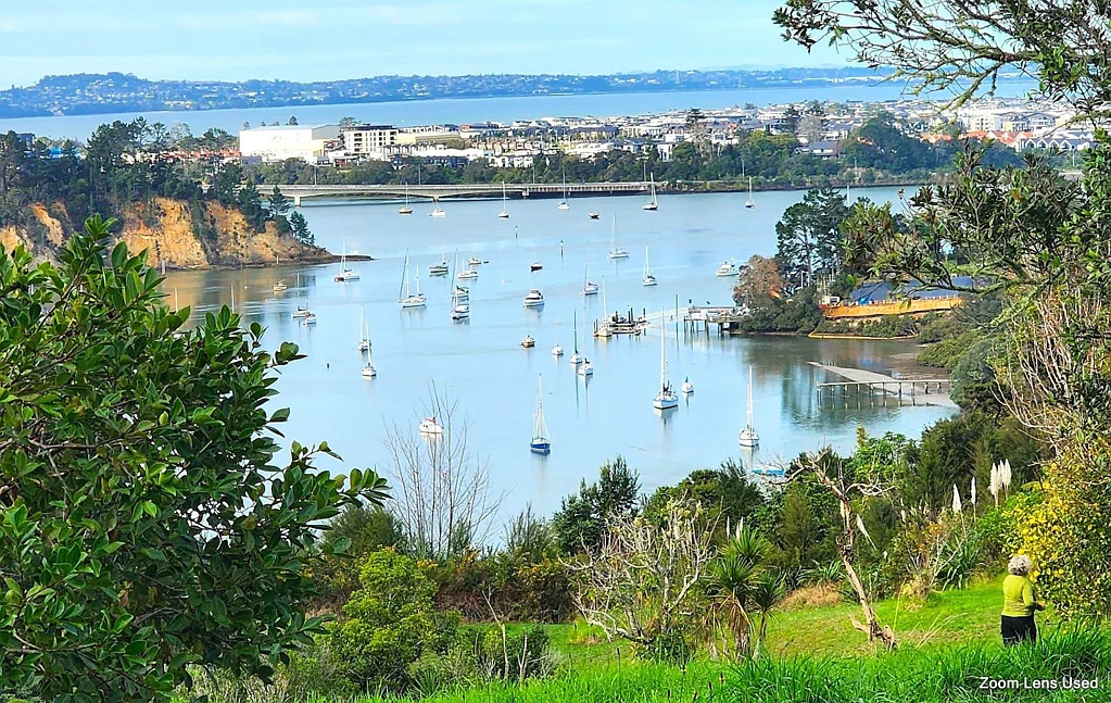 Paremoremo 3房  Rare Coastal Landholding with Harbour Views