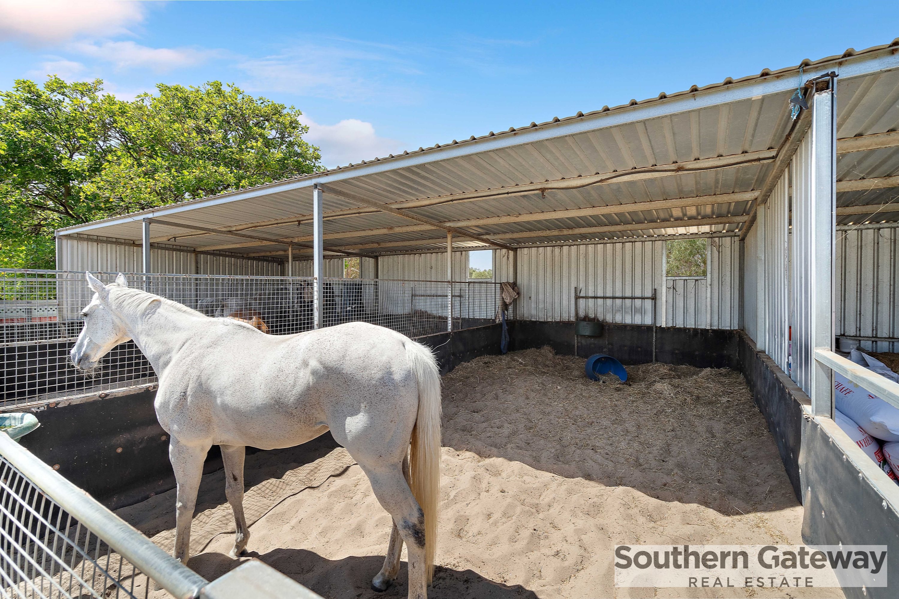 12 RACECOURSE RD, PINJARRA WA 6208, 0房, 0浴, Section