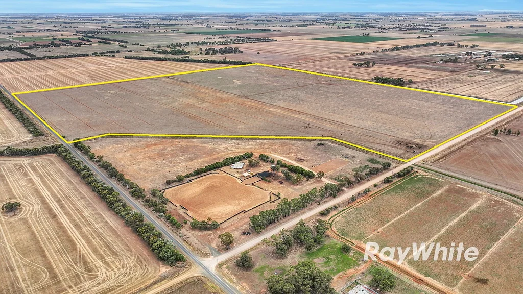 Lockington Cropping & Grazing Opportunity