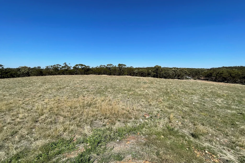 Korong Vale  CAMPING, PROSPECTING, MOTORBIKES, RELAXING