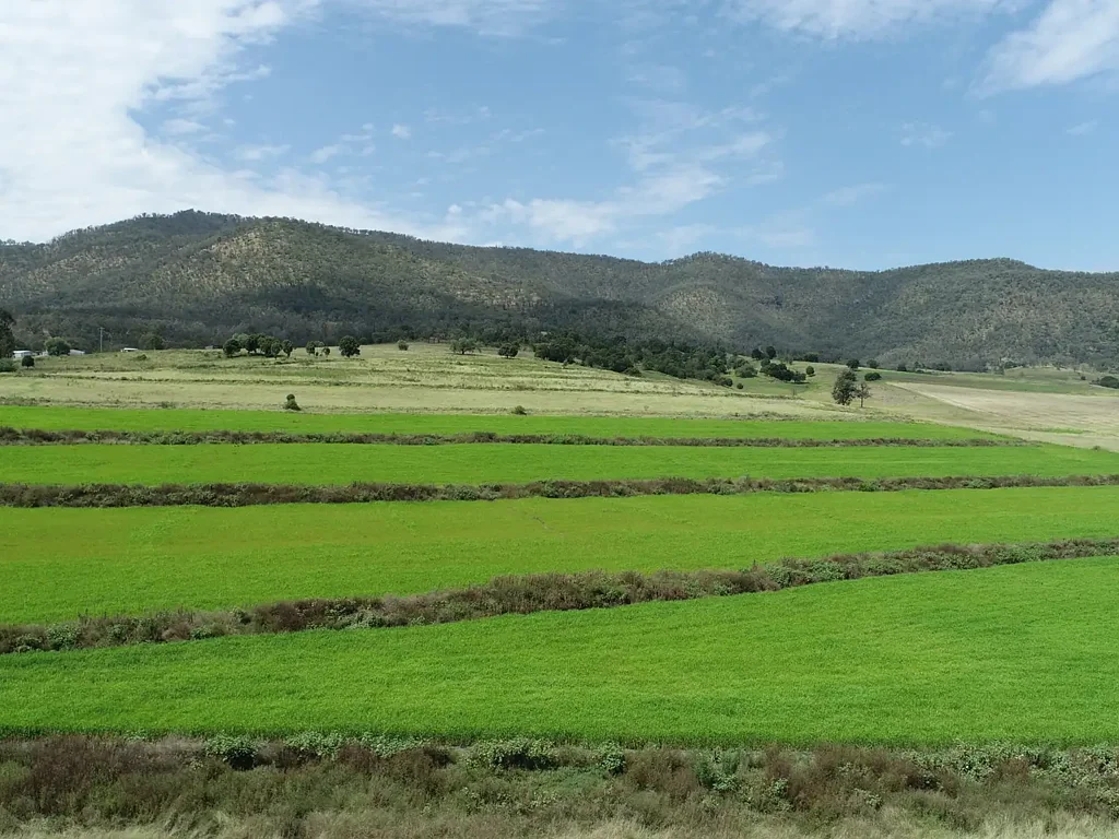 Swanfels WEST FACING 15HA BLOCK OF RURAL LAND