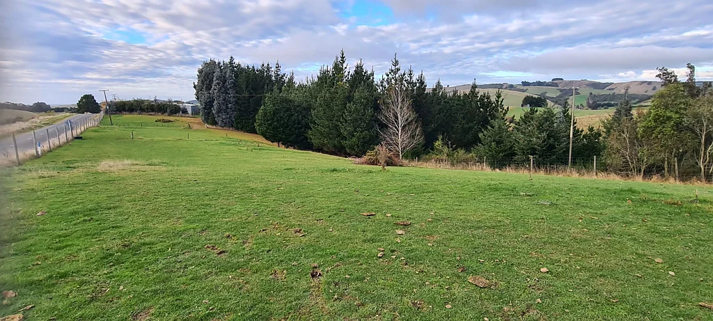 Balclutha 3房  Romahapa - RV $865,000, three titles, 24 acres