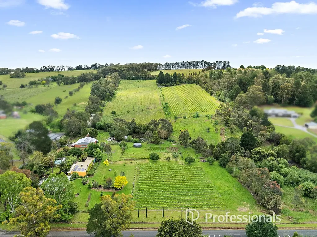 Seville 3ਬੈੱਡਰੂਮ EXCEPTIONAL HOUSE AND LAND ESTATE WITH ESTABLISHED VINEYARD AND COMMERCIAL CAPABILITY