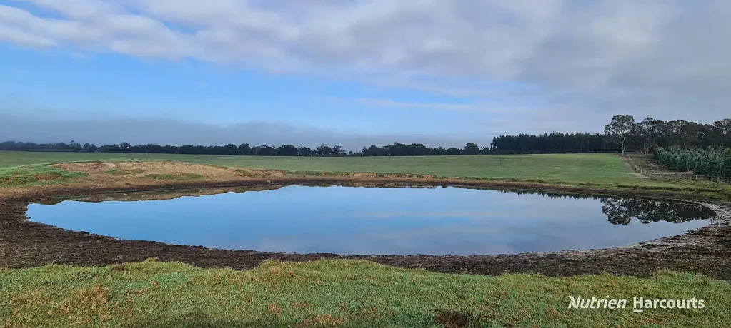 Napier  Well located with diversified income stream!