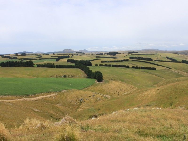 200 Philip Road, Palmerston, Waitaki, 0 habitaciones, 0 baños