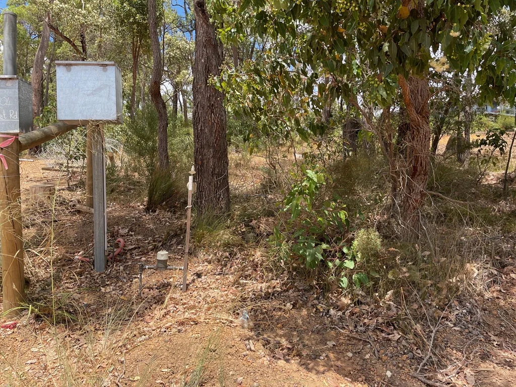 28 Struthers Street, Nannup, WA 6275