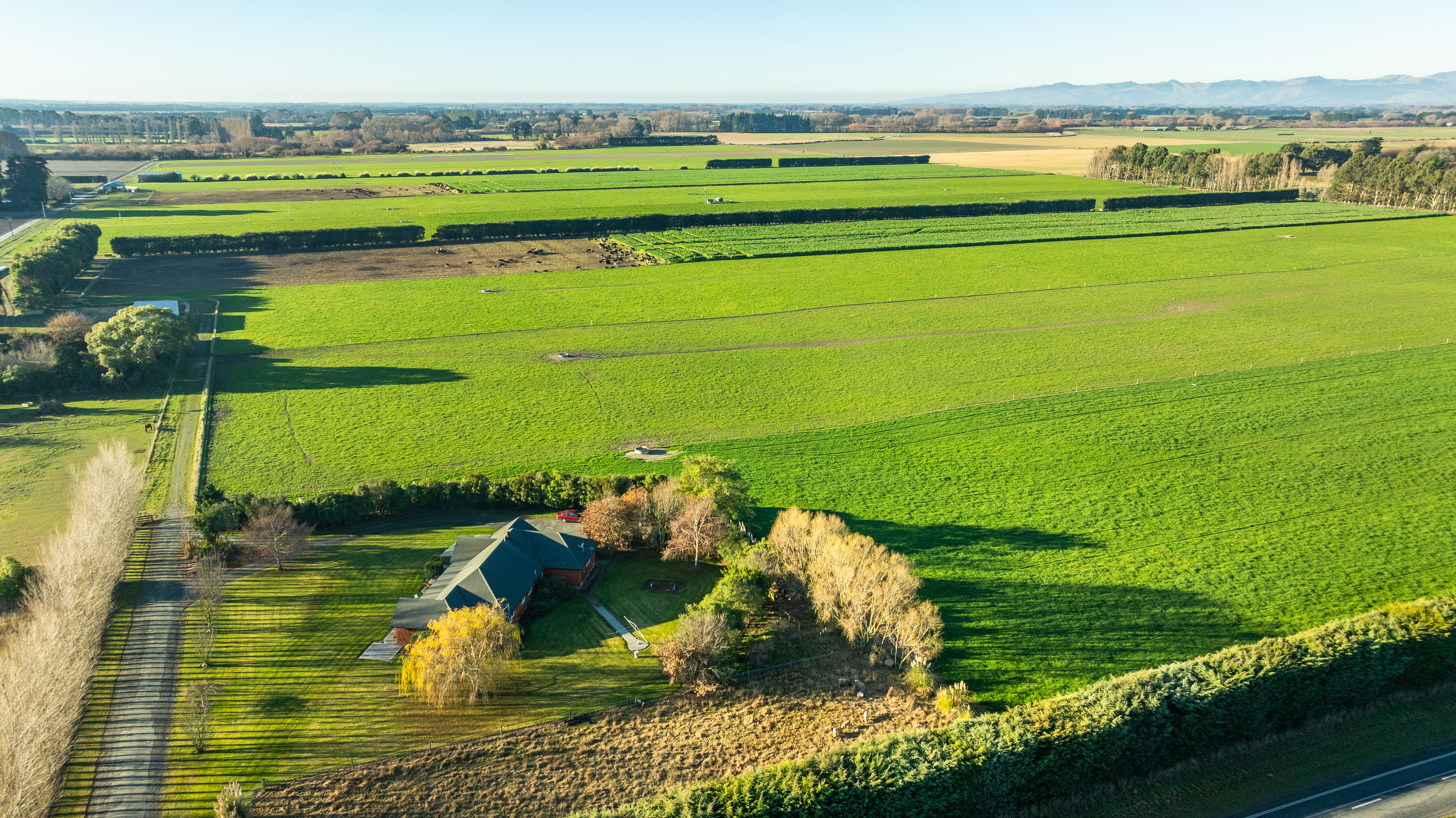 1016 Selwyn Lake Road, Leeston, Selwyn, 0 Schlafzimmer, 0 Badezimmer, Grazing