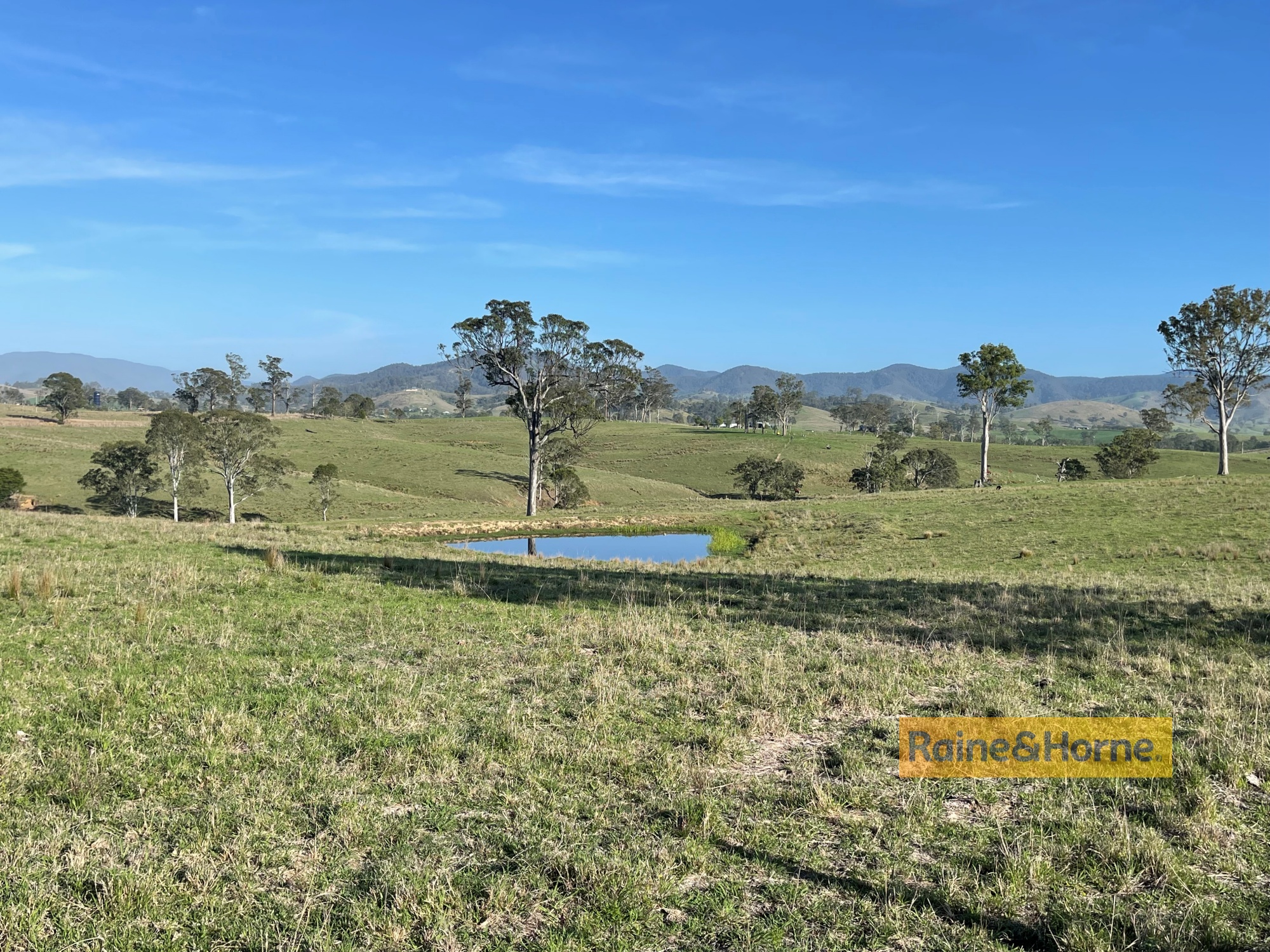 319 BUNDOOK RD, TUGRABAKH NSW 2422, 0 rūma, 0 rūma horoi, Lifestyle Property