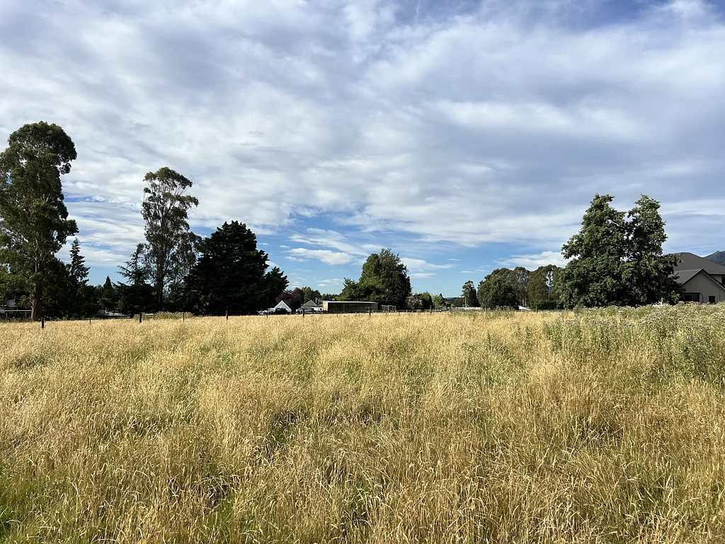Tapanui The Perfect Spot