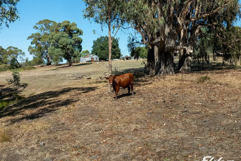 Strathbogie Excellent Fundamentals In The Tightly-Held Creek Junction Precinct