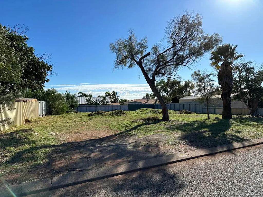 Pegs Creek  Rare Earth