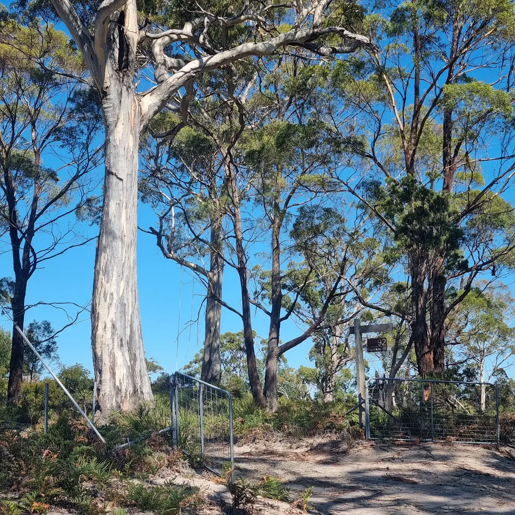 Murdunna 1房  15 acre bush block + sheds + studio