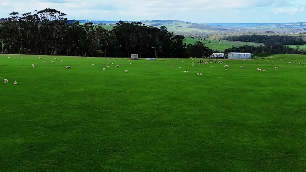 Scotts Creek QUALITY PICTURESQUE SOUTH WEST VICTORIA COUNTRY