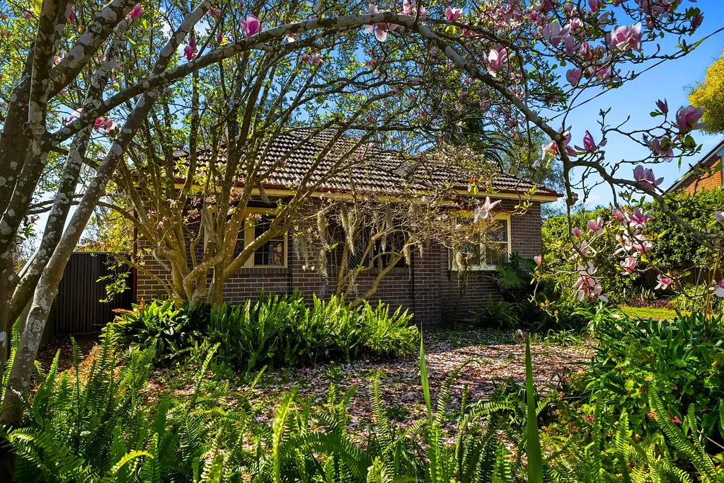 Richmond 3 Bedroom A Charming Californian on a Big Block with Endless Potential