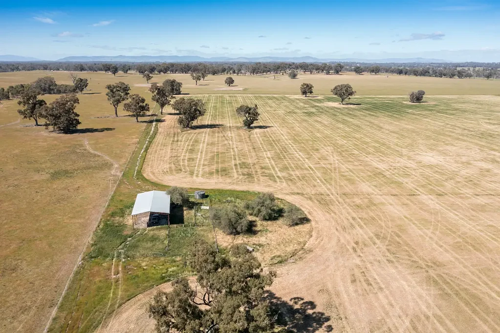 Goomalibee  315 Acres of Productive Farming land in enviable Goomalibee location
