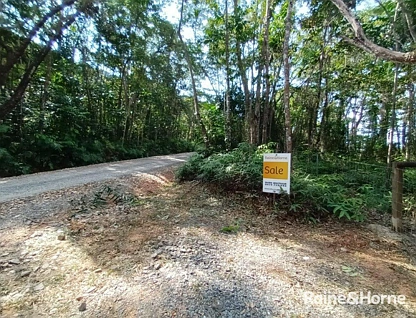 Lot 54 George Road, Forest Creek, Daintree, Cairns, 0 રૂમ, 0 બાથરૂમ, Section
