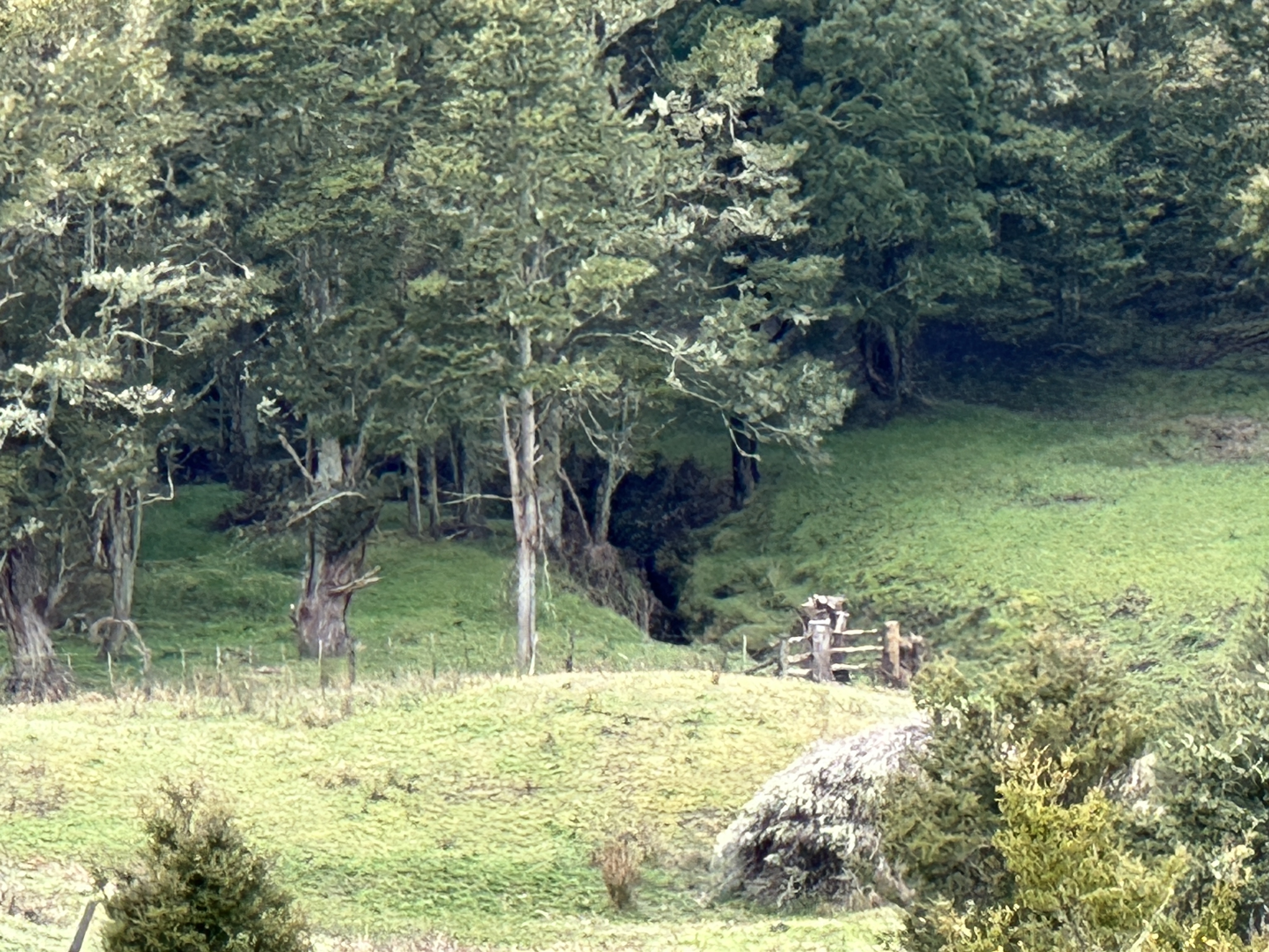 Bently Road, Ruawai, Kaipara, 0 phòng ngủ, 1 phòng tắm, Grazing