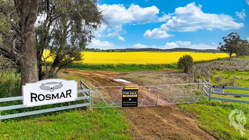 Gunnedah 500* ACRES OF PRIME FARMING LAND WITH CROP!!