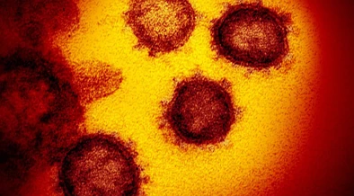 上周新增10,589例！奥克兰新增6人死亡！卫生部称，疫情正持续呈现这一趋势