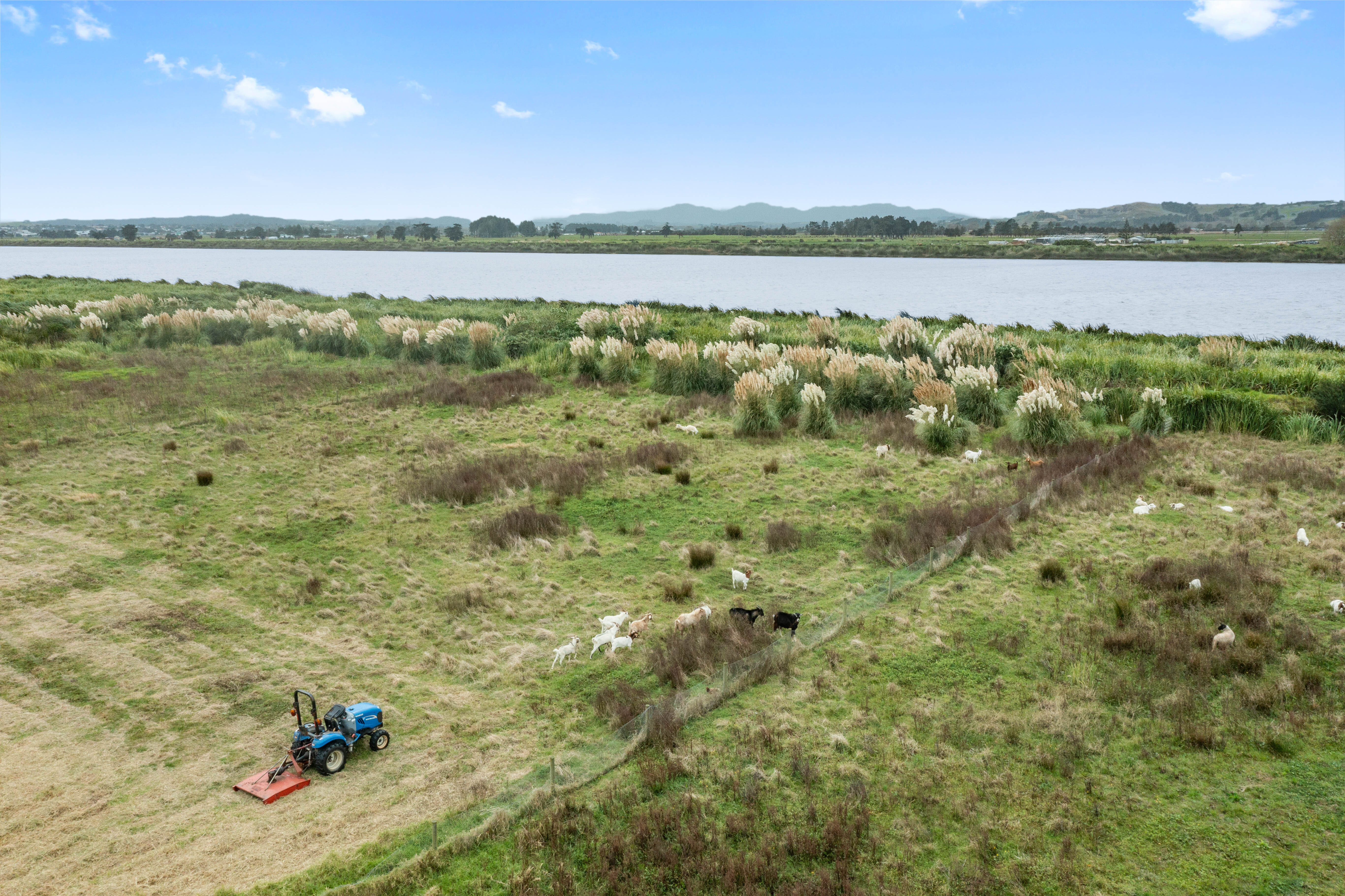 167 Pouto Road, Dargaville, Kaipara, 0 rūma, 1 rūma horoi, Section