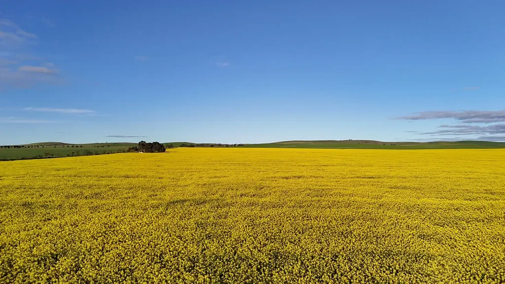 Booleroo Centre ‘Old Farm’