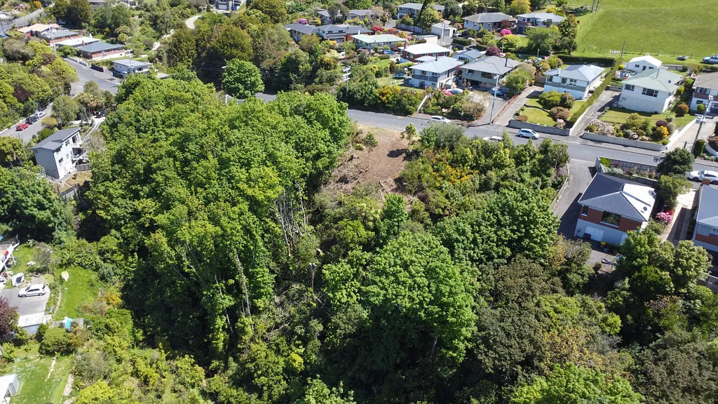 Helensburgh Helensburgh bush setting