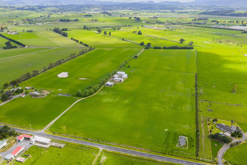 Dargaville  Flat 20ha block near Dargaville