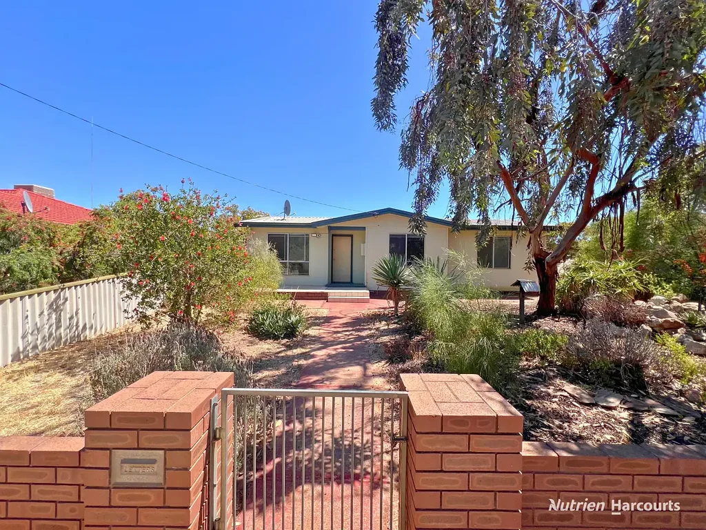 19 Doreen Street, Narembeen, WA 6369