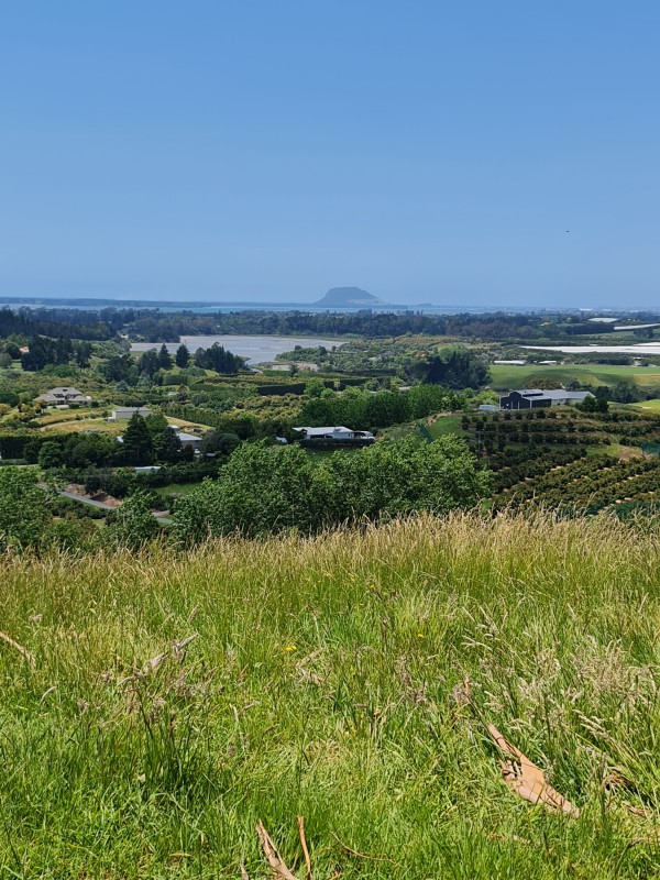 70 Whakamarama Road, Whakamarama, Bay Of Plenty, 3 habitaciones, 1 baños