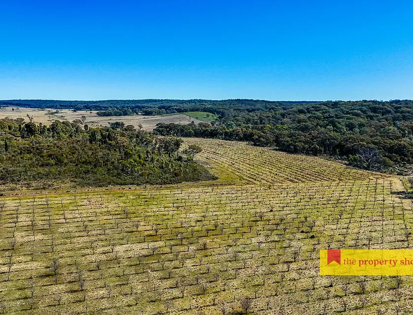 Lot 77/369 Montaza Road, Gulgong, North West, 6房, 2浴, Lifestyle Property
