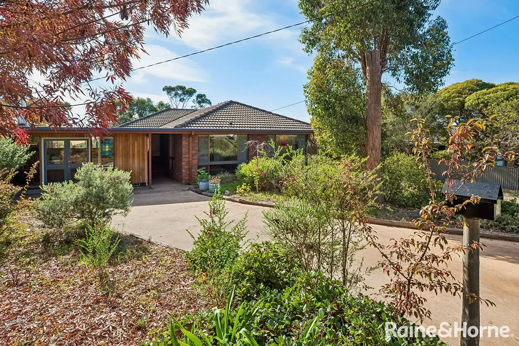 Castlemaine 4房  Elevated Family Sanctuary with Studio in Coveted Coulthard Street