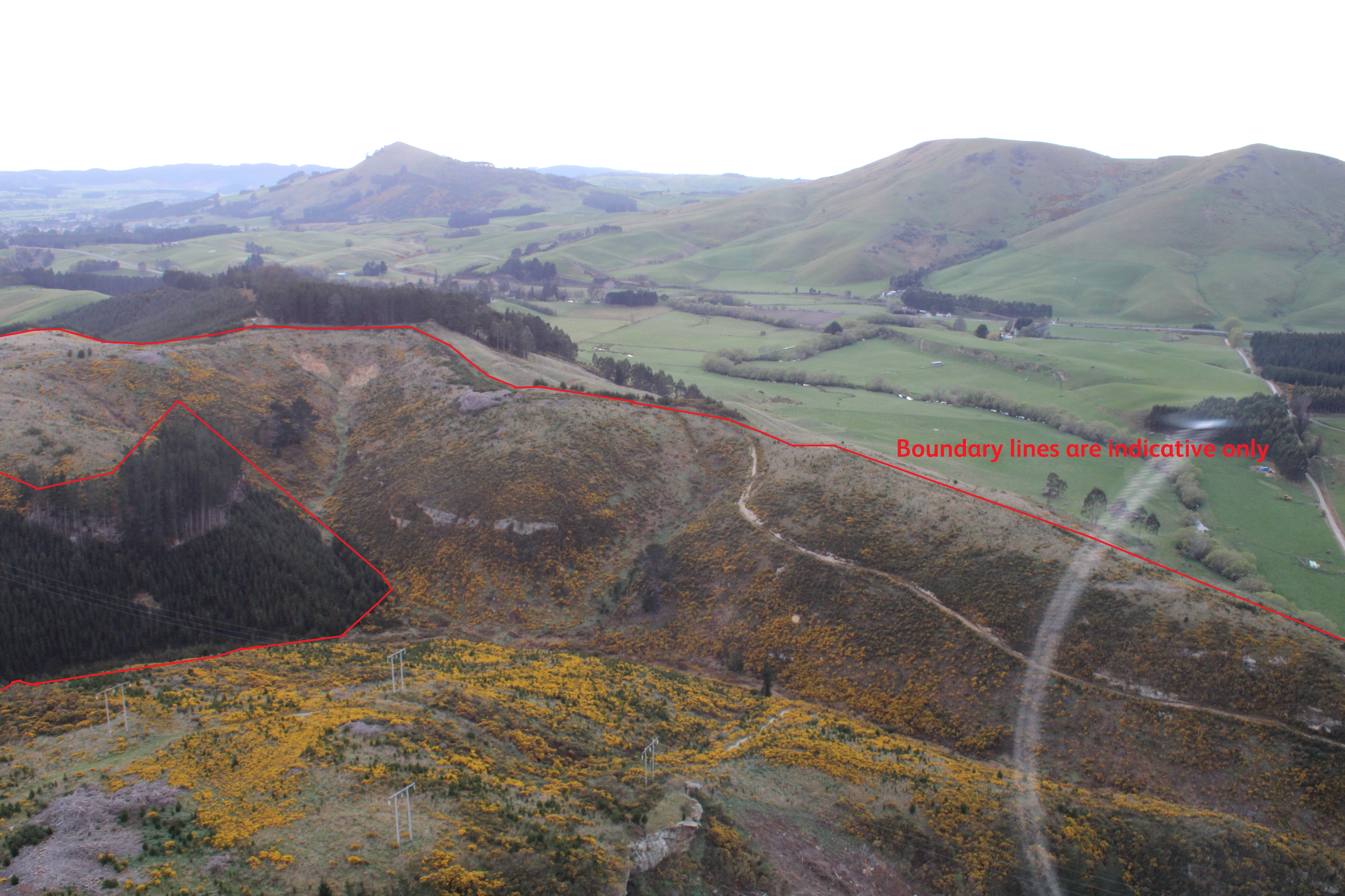 Mount Trotter Road, Palmerston, Waitaki, 0 habitaciones, 1 baños, Forestry