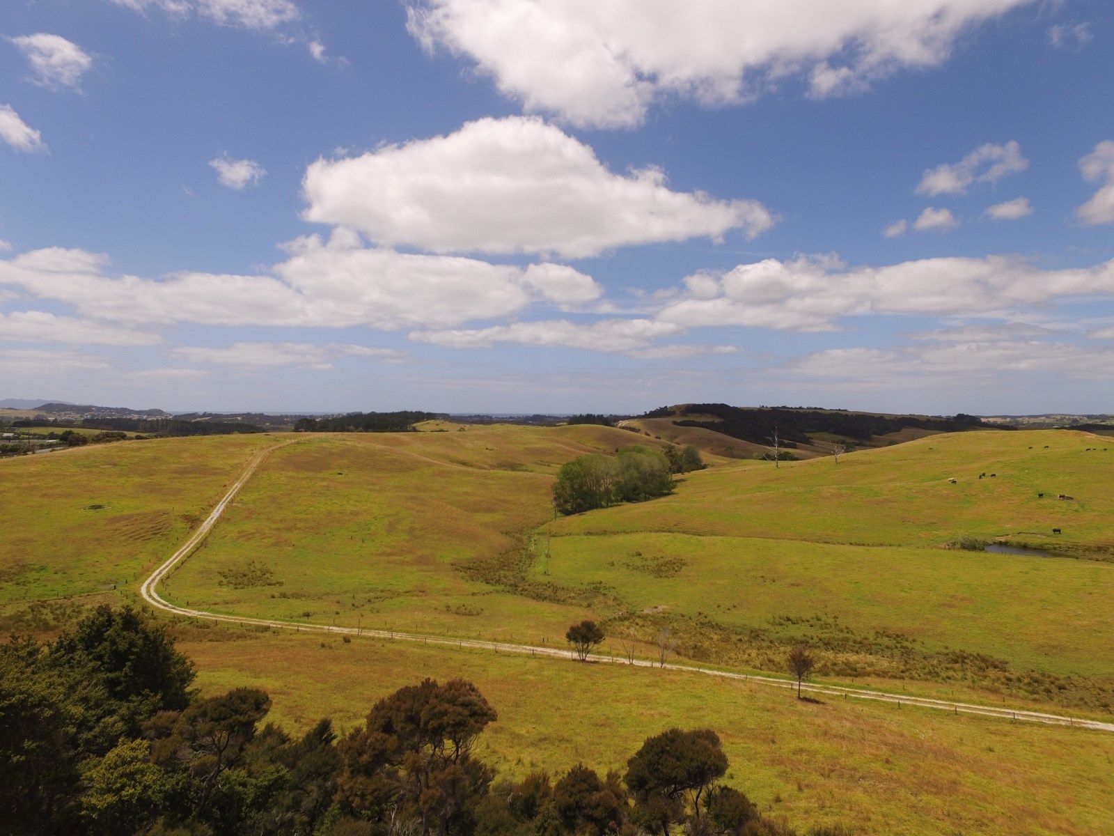 7 Cove Road, Waipu, Whangarei, 0 phòng ngủ, 0 phòng tắm, Retail Property