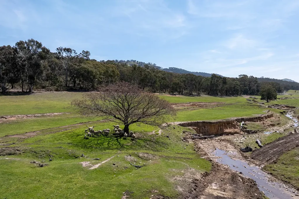 Mudgee  Peaceful Country Retreat Opportunity, 4 Freehold Acres