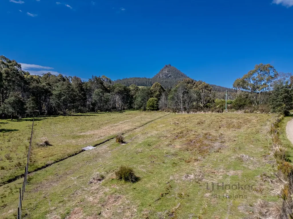 St Marys Country living with a grand view - surprisingly still available