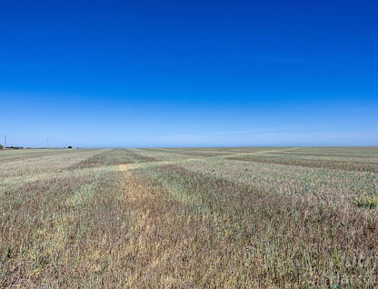 Lot 294 Gun Club Road, Koolywurtie, Barossa - Yorke - Mid North, 0 غرف, 0 حمامات, Lifestyle Property