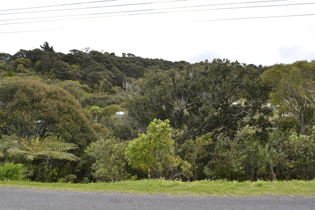 Hauraki Gulf Islands