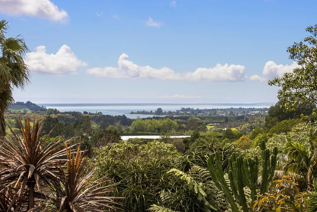 Katikati Welcoming all offers.