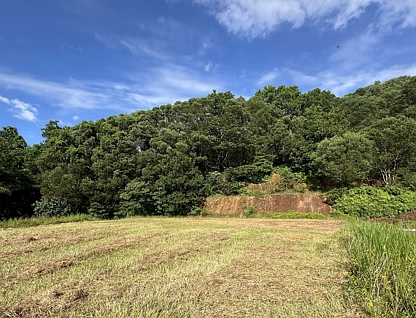 LOT 38/Rockingham Close, Wongaling Beach, Cairns, 0 habitaciones, 0 baños, Section