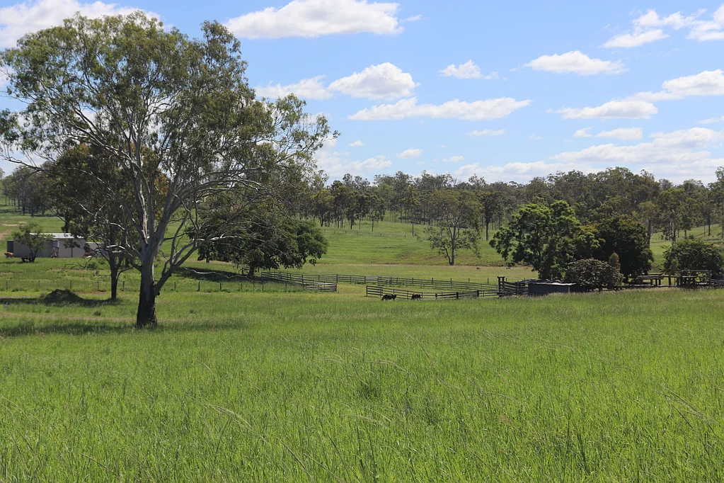 Gin Gin 230ha (570 acres) BREEDING, GROWING OR FATTENING CLOSE TO GIN GIN