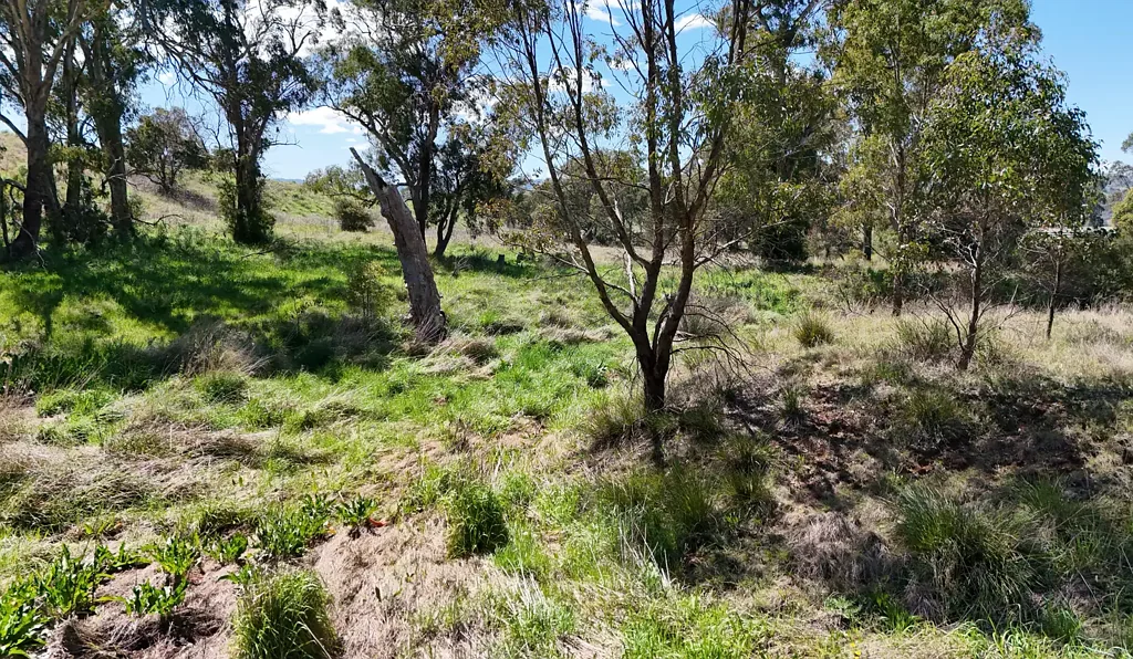 Murulla An exceptional opportunity to secure 5.02 hectares in the heart of Murulla, offering space, exposure, and rural charm.