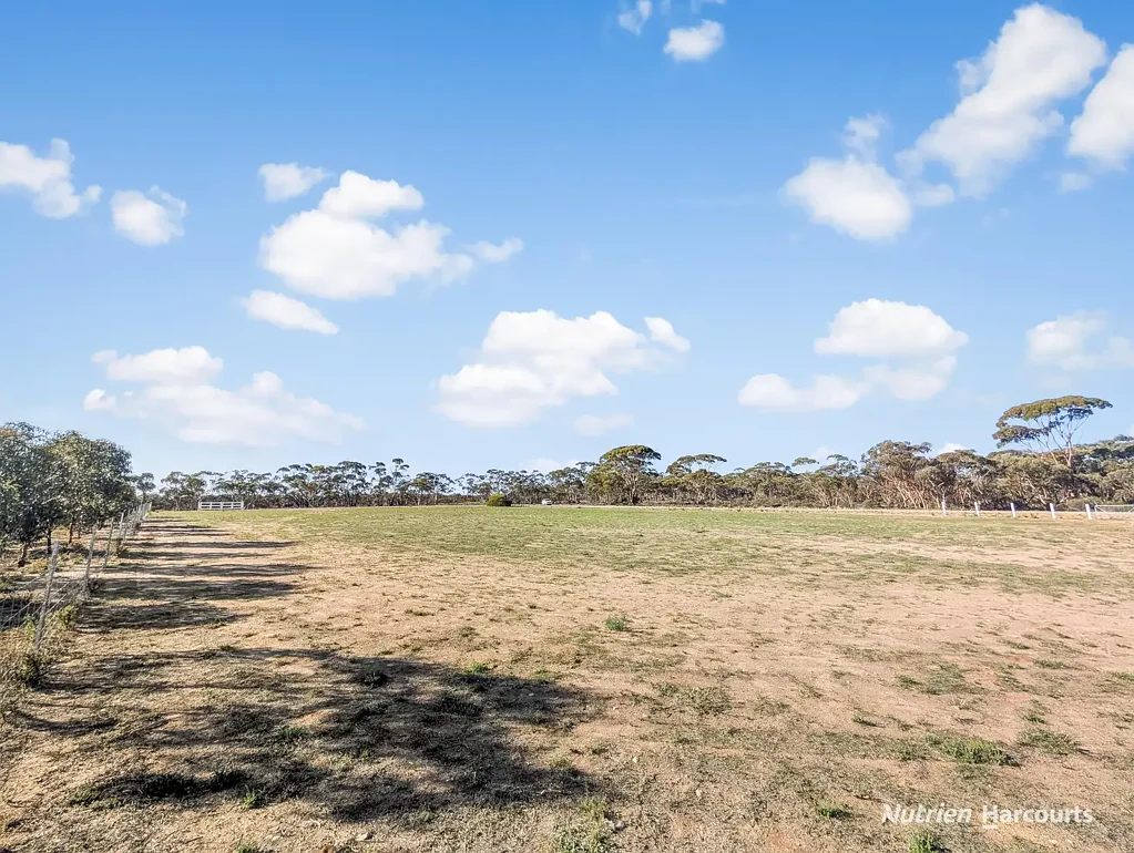 Merredin 41 Maiolo Way, Merredin - Spacious 1.25 Acre Corner Block - Great Location - Services available