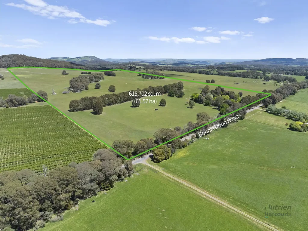 Boho South Cherished for Generations - A Unique Rural Opportunity