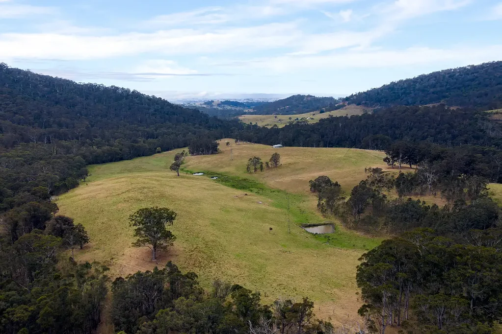 276 Little Careys Trail, Candelo, NSW 2550