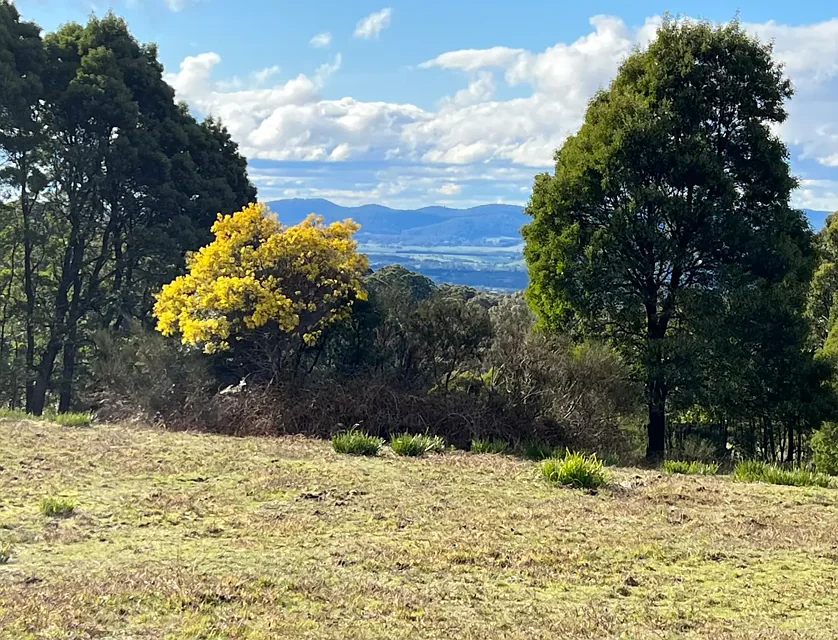 216 Hesket Boundary Road, Hesket, VIC 3442, 0 ਕਮਰੇ, 0 ਬਾਥਰੂਮ, Section