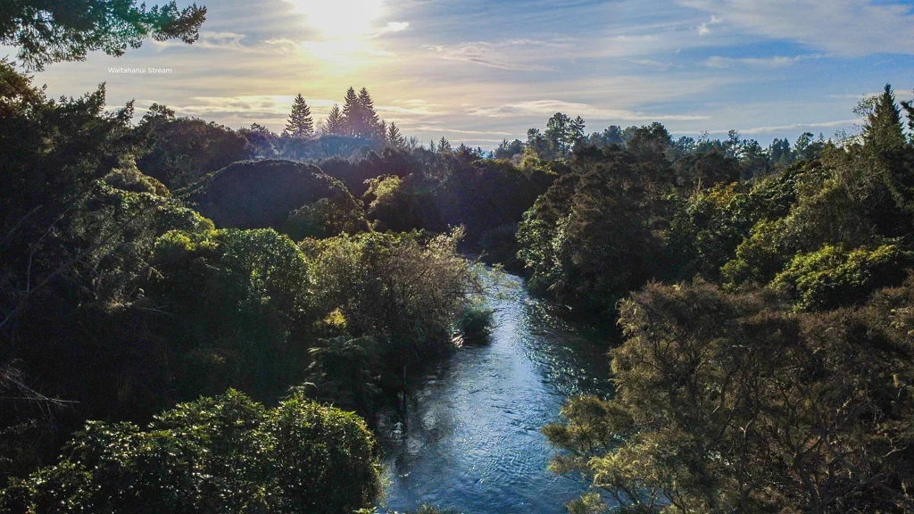 Waitahanui 1ਬੈੱਡਰੂਮ Your own private native sanctuary