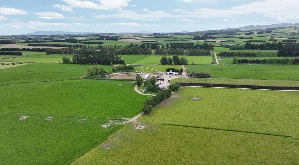 Tapanui Outstanding Kelso Dairy Unit